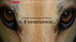 Adozioni Levrieri GACI
